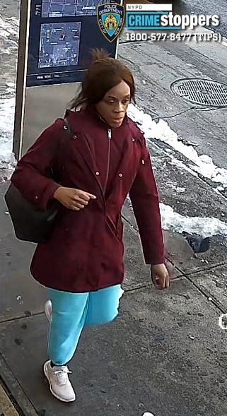 Teen stabbed on q25 bus in queens as attacker flees on foot - photo licensed by shore news network.