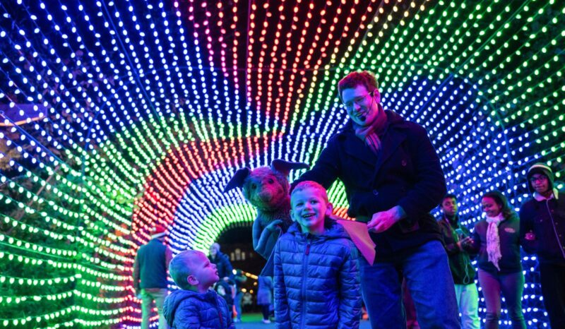 Bronx zoo lights up the holidays with glowing wildlife displays and family fun