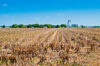 New jersey under statewide drought warning as dry spell strains water supply New jersey under statewide drought warning as dry spell strains water supply