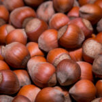 New jersey lawmakers go nuts in trenton over official state nut - photo licensed by shore news network.