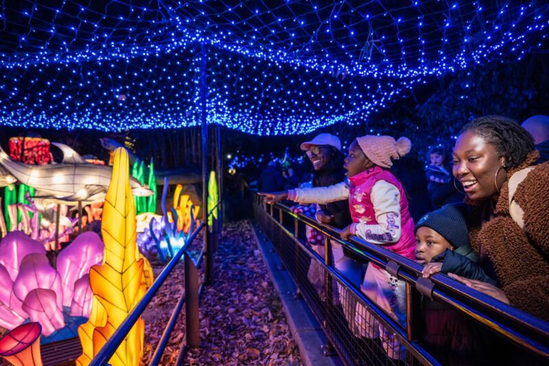 Bronx zoo lights up the holidays with glowing wildlife displays and family fun