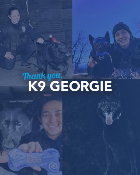 Buffalo Police mourn loss of retired K9 Georgie honored for years of service
