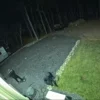 Police seek suspects in brazen robbery of truck and dirtbikes in whiting