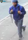 Teen girl attacked near horace harding expressway as police seek suspect