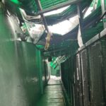 New jersey shelter pleads for emergency fosters after snow collapse damages newark kennel - photo licensed by shore news network.