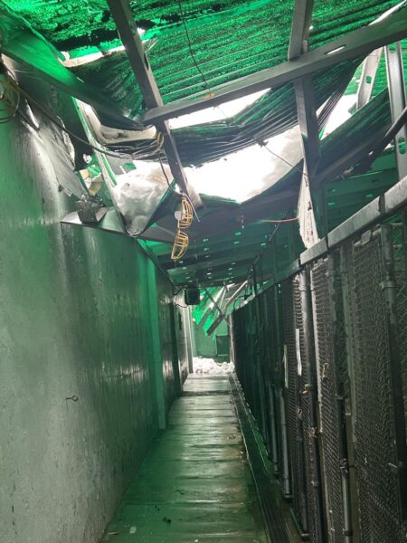 New jersey shelter pleads for emergency fosters after snow collapse damages newark kennel - photo licensed by shore news network.