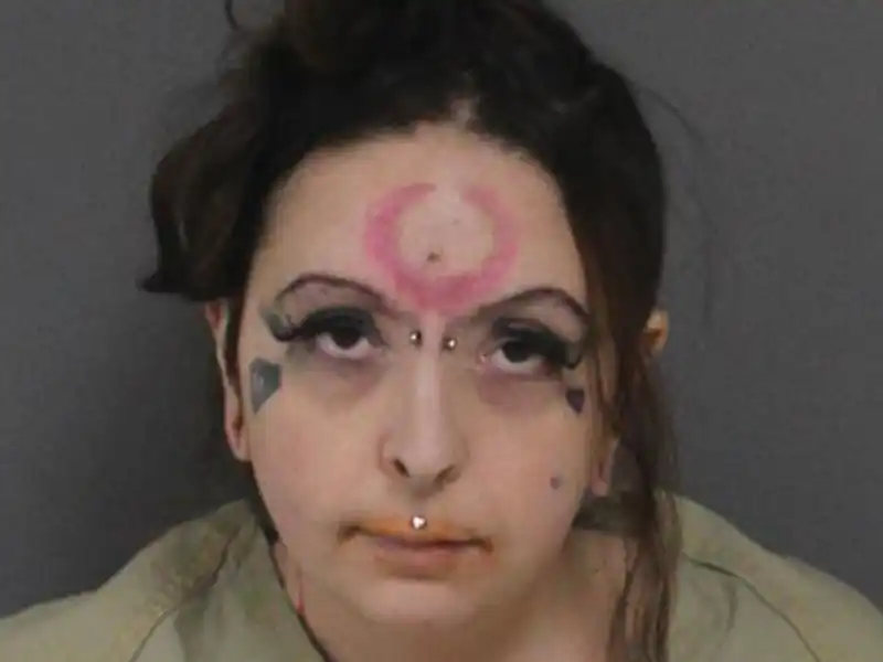 Toms river woman held on multiple animal cruelty charges - photo licensed by shore news network.