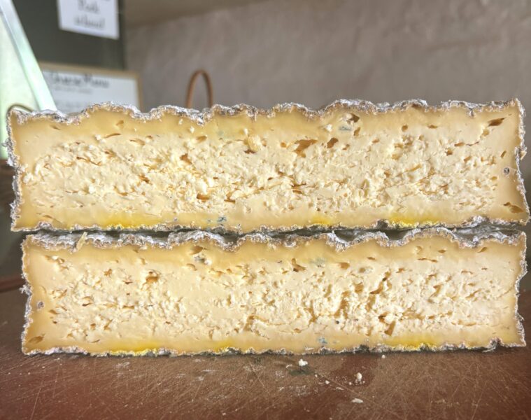 New jersey creamery takes global honor at 2025 world cheese awards