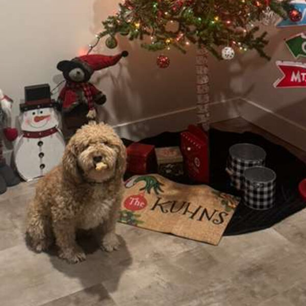 Mayor jennifer l. Kuhn takes action for animal farm that was promised help, but never got it - photo licensed by shore news network.