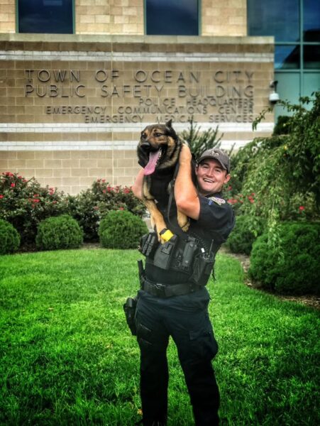 Ocean city police mourn loss of retired k-9 rocco after years of loyal service - photo licensed by shore news network.
