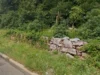 Cease and desist filed as bulldozers threaten historic burial ground near revolutionary war site in new jersey