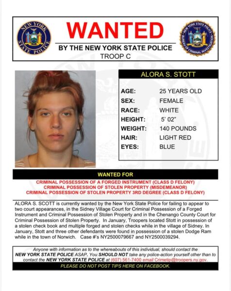 Ny woman wanted after police find fake checks and hot truck - photo licensed by shore news network.