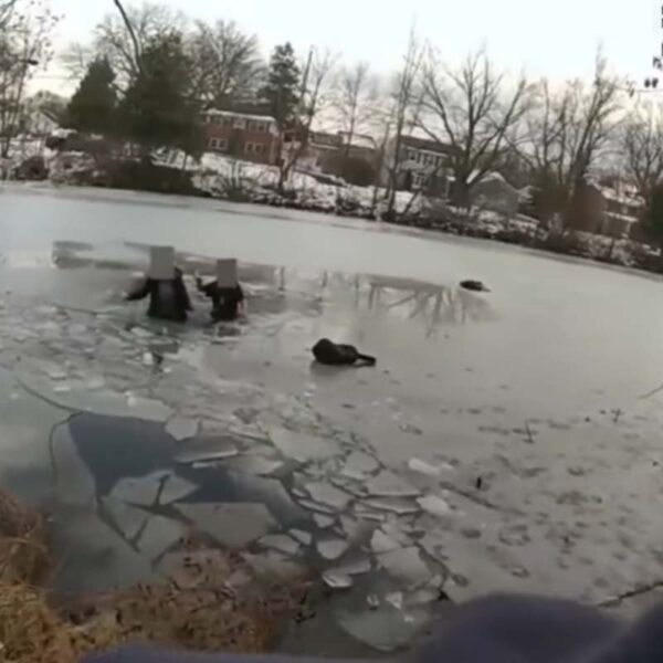 New jersey cops rescue three students who fell through ice on partially frozen lake - photo licensed by shore news network.