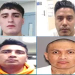 Ice says merry christmas to america with arrests of more violent criminal illegal aliens - photo licensed by shore news network.