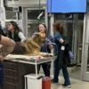 Dog rescued from belmar house fire expected to make full recovery