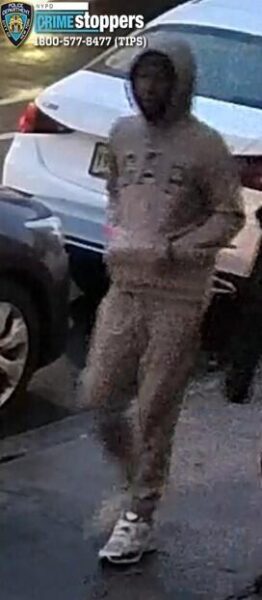 Elderly woman attacked in Queens The perps are young children police say