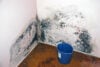Federal judge dismisses tenant’s mold exposure lawsuit against avalonbay communities