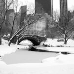 Here's how much snow fell across new york state and nyc - photo licensed by shore news network.