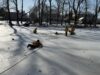 Cherry hill firefighters warn residents about ice safety on lakes as rescue training continues