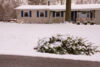 Mercer county christmas tree recycling: how to officially end the holiday season