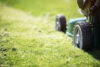Ditch your lawn, save on taxes: new bill offers $250 tax credit for ripping out the grass