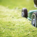 Ditch your lawn, save on taxes: new bill offers $250 tax credit for ripping out the grass - photo licensed by shore news network.