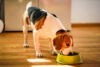 Dog food sold in new jersey and connecticut contaminated with salmonella and listeria
