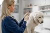 Brick township to host annual free rabies vaccine clinic january 24