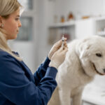 Brick township to host annual free rabies vaccine clinic january 24 - photo licensed by shore news network.