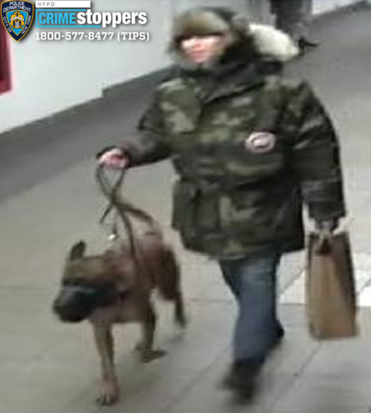 Man ordered dog to attack victim inside union square subway station - photo licensed by shore news network.