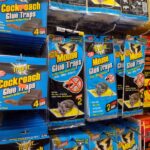 New york bill would ban mouse and rat glue traps in all state-owned and leased buildings - photo licensed by shore news network.