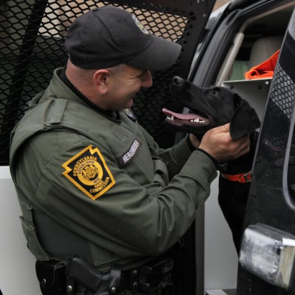 Pennsylvania Game Commission mourns loss of retired K 9 Storm