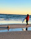 Seal found lounging on busy jersey shore beach gets escorted to quieter sands