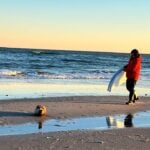 Seal found lounging on busy jersey shore beach gets escorted to quieter sands - photo licensed by shore news network.