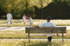 New york wants to ban registered sex offenders from entering state and municipal parks