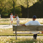 New york wants to ban registered sex offenders from entering state and municipal parks - photo licensed by shore news network.