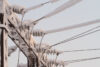 Power outage affects hundreds on brick beaches barrier island