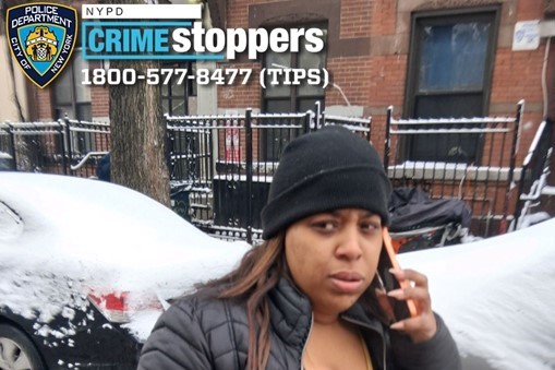 Woman sought after assault and robbery on webster avenue leaves man injured - photo licensed by shore news network.