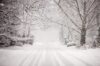 Snowfall turns robbinsville roads treacherous as police urge drivers to stay home