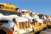 Teen accused of pointing gun at school bus on taconic