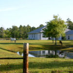 Small horse farm in central florida showing pond, house and two horses grazing in the front pasture.