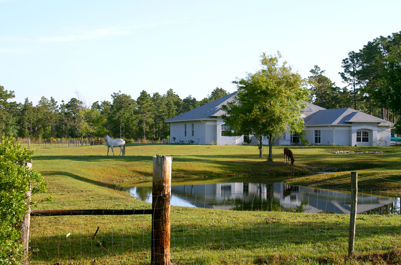 Small horse farm in central florida showing pond, house and two horses grazing in the front pasture.