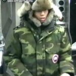 Dog attack in union square subway sparks nypd manhunt - photo licensed by shore news network.