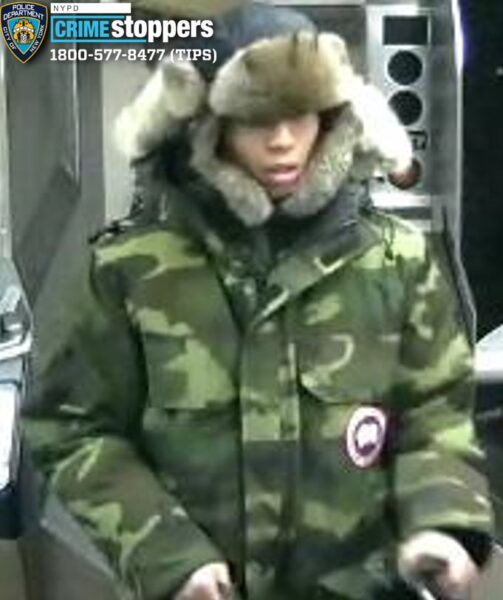 Dog attack in union square subway sparks nypd manhunt - photo licensed by shore news network.