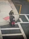 Police search for missing atlantic city mother and 3-year-old son