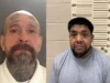 Ice roundup nets violent offenders in operation charlotte’s web crackdown