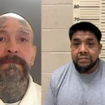 Ice roundup nets violent offenders in operation charlotte’s web crackdown - photo licensed by shore news network.