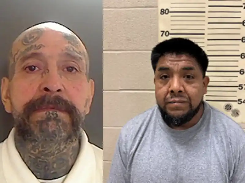 ICE roundup nets violent offenders in Operation Charlotte’s Web crackdown