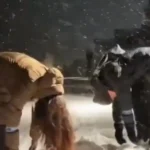 Greenlanders mock america by imitating tweaking drug addicts - photo licensed by shore news network.