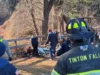 Horse rescued from gulley by first responders in early morning Tinton Falls operation